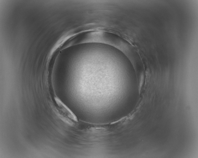 X0000079280150200611251630