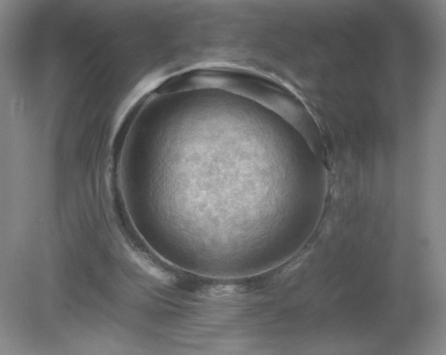 X0000079280152200611251630