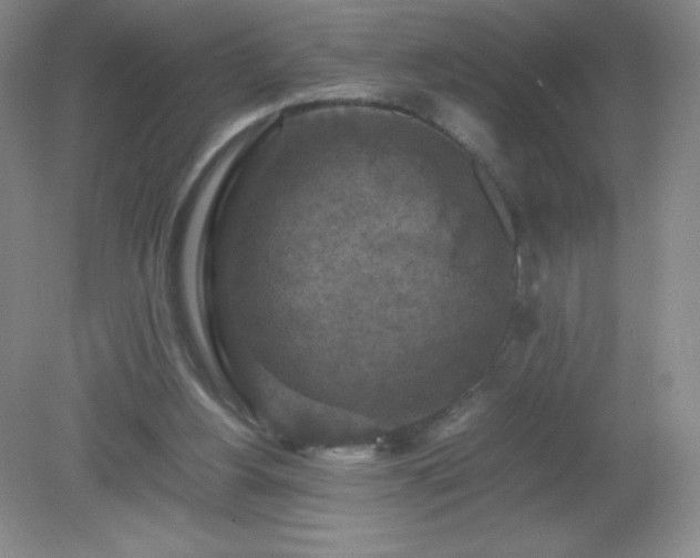 X0000079280156200611251630