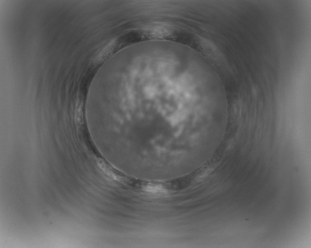 X0000079280177200611251631