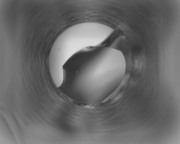 X0000079280180200611251631