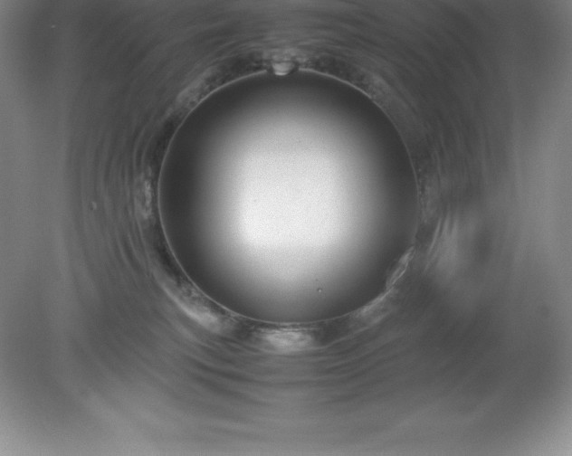 X0000079280183200611251631