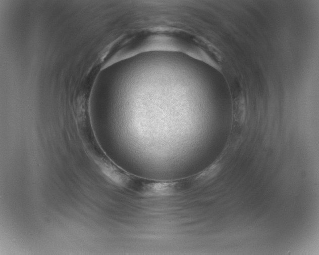 X0000079280184200611251631