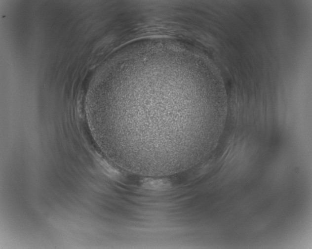 X0000079280185200611251631