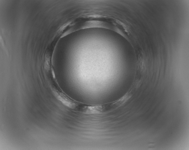 X0000079280188200611251631
