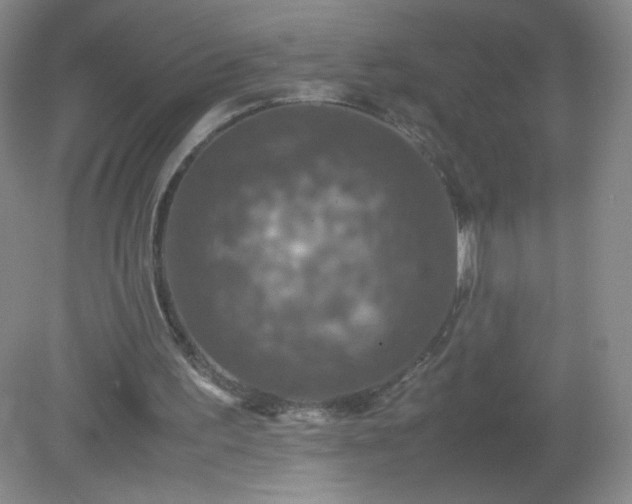 X0000079280195200611251630