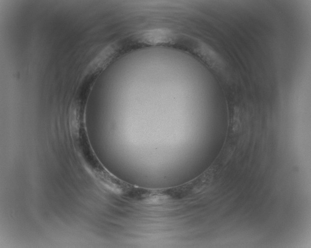 X0000079280210200611251630
