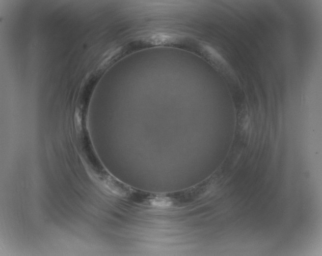 X0000079280214200611251630