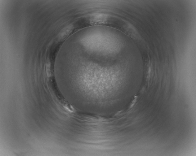 X0000079280224200611251630