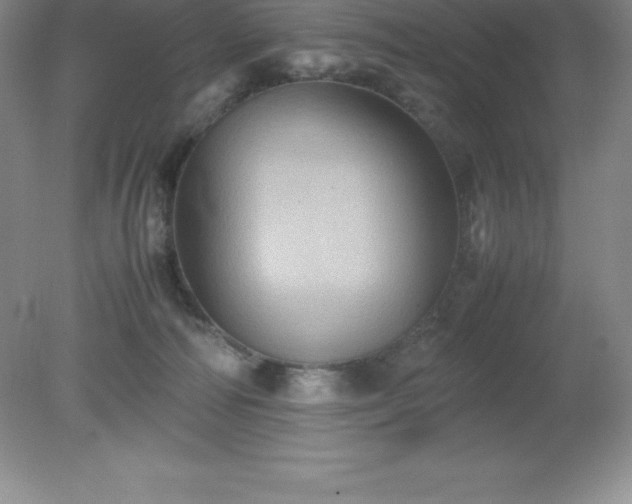 X0000079280226200611251630