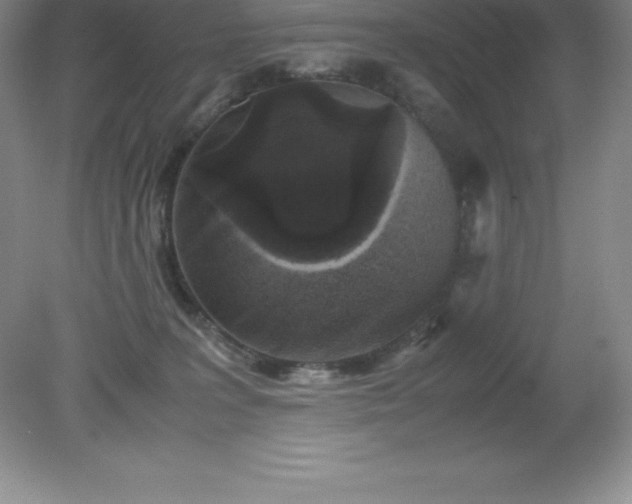 X0000079280227200611251630
