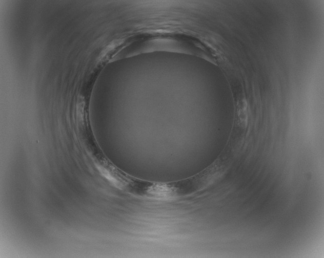 X0000079280231200611251629