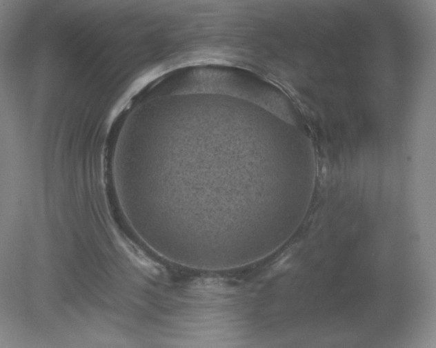 X0000079280244200611251629