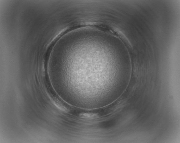 X0000079280251200611251629
