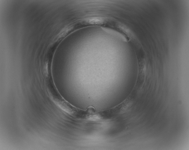 X0000079280262200611251629
