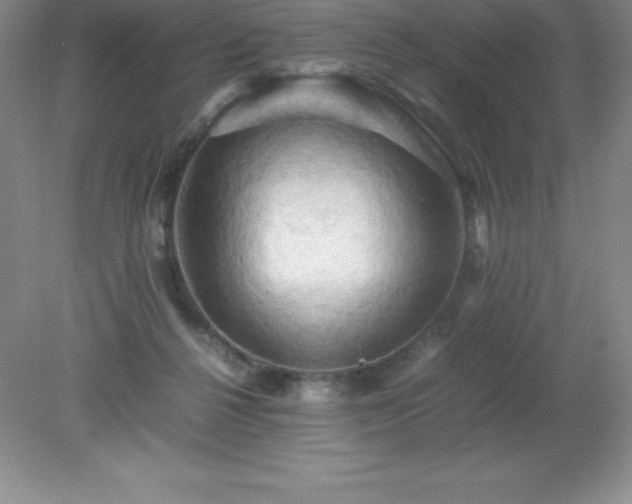 X0000079280264200611251629