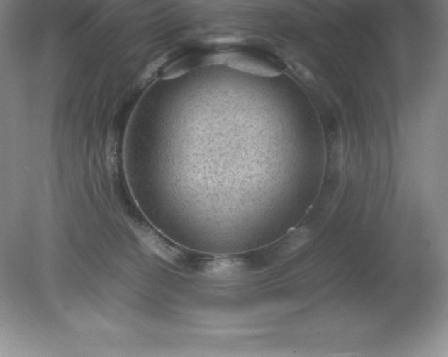 X0000079280274200611251629