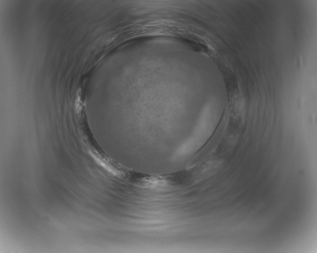 X0000079280284200611251629