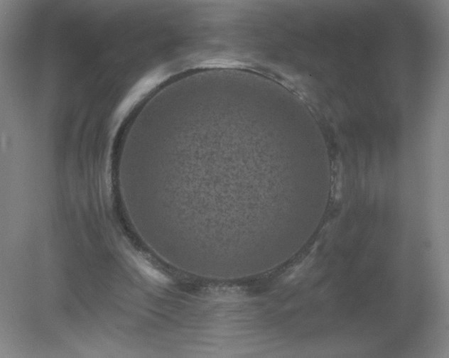 X0000079280296200611251628