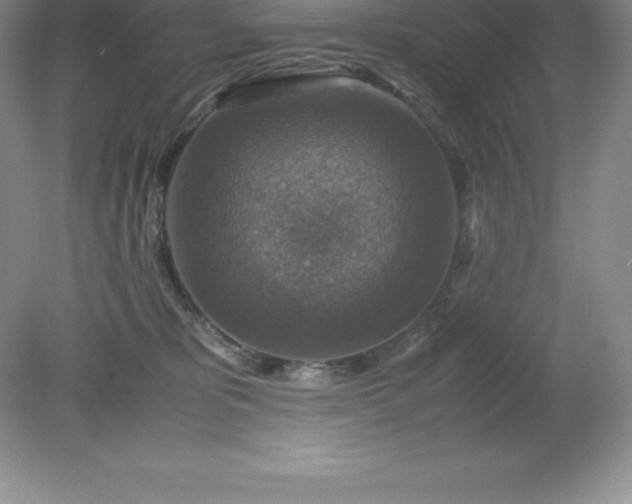 X0000079280325200611251628