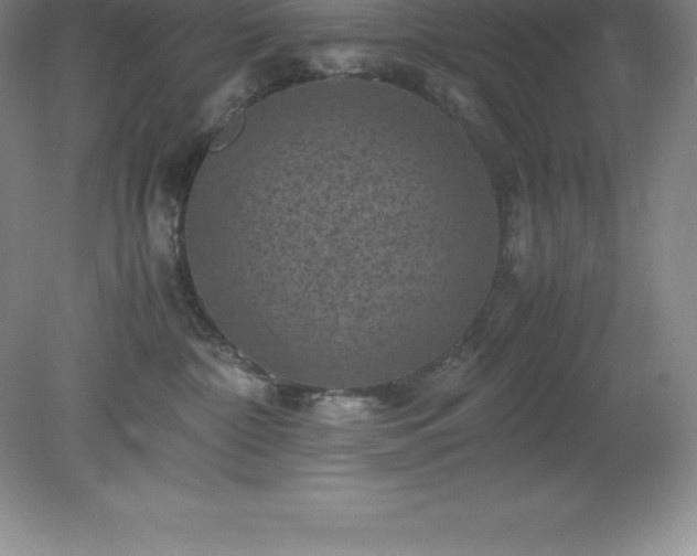 X0000079280332200611251628