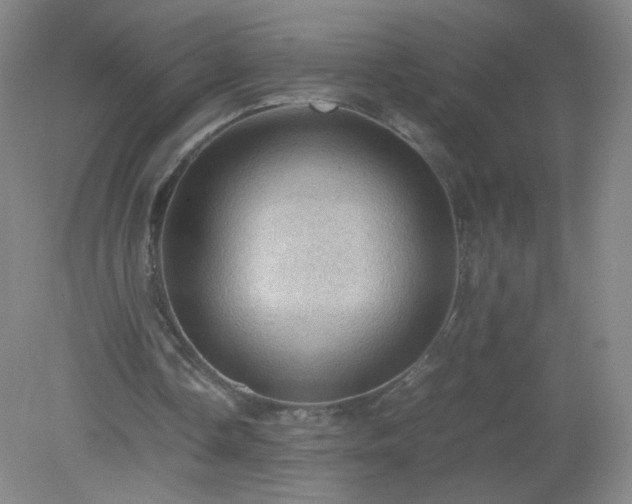 X0000079280338200611251627