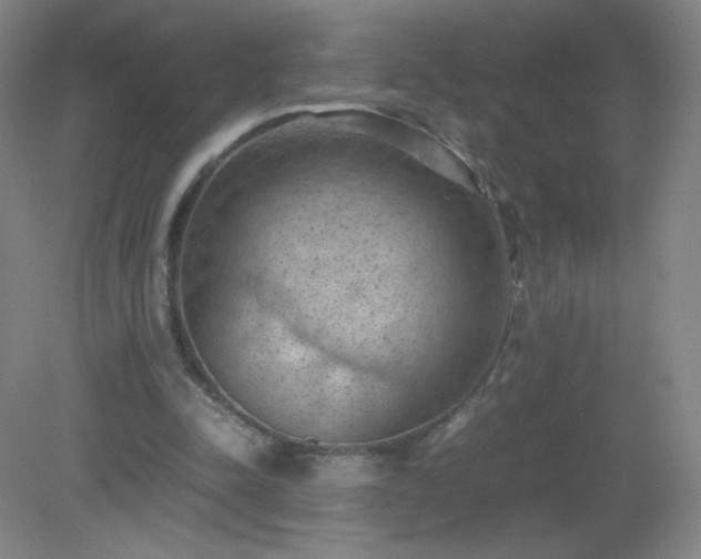 X0000079280342200611251627