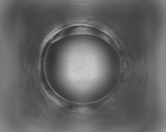 X0000079280344200611251627