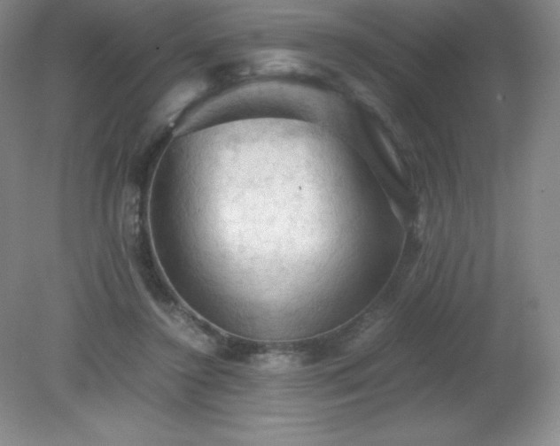 X0000079280356200611251627
