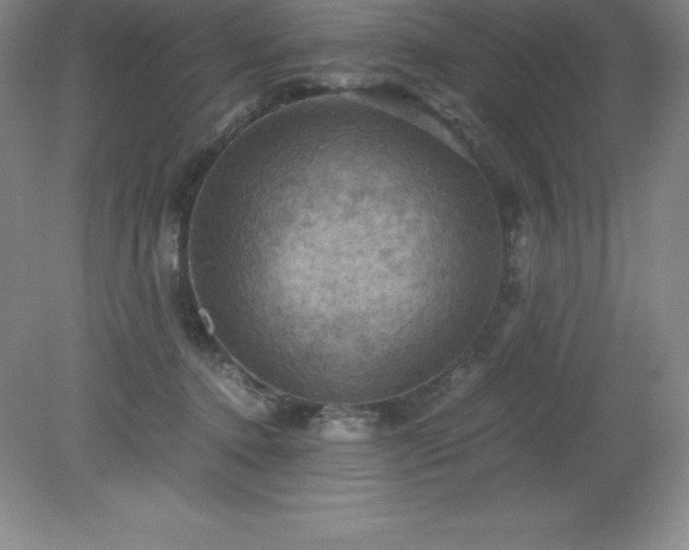 X0000079280368200611251627