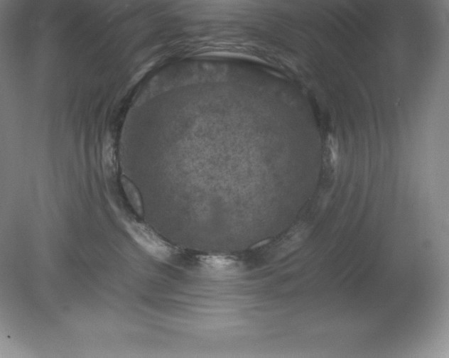 X0000079280380200611251628
