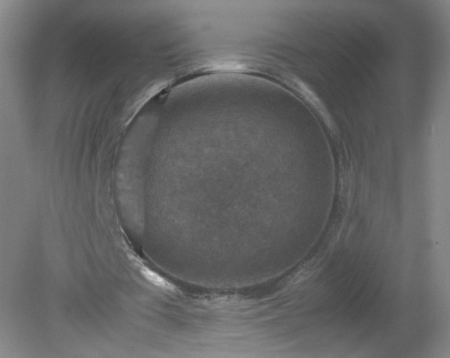 X0000079280385200611251627