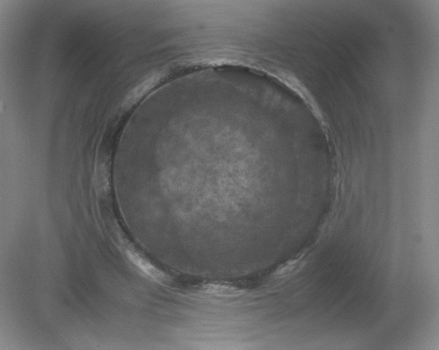 X0000079280393200611251627