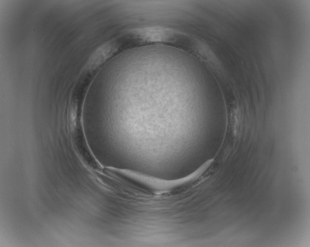 X0000079280406200611251627