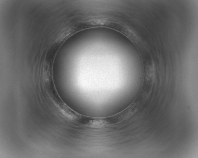 X0000079280414200611251626