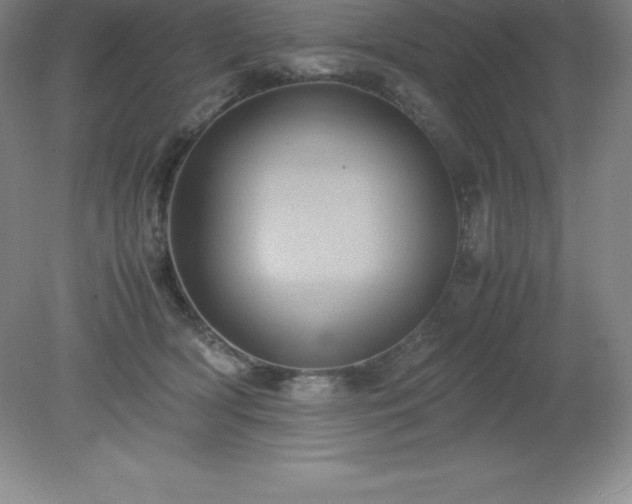 X0000079280418200611251626