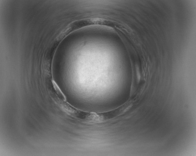 X0000079280421200611251626