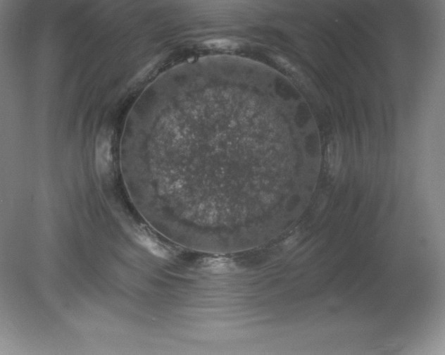 X0000079280424200611251626