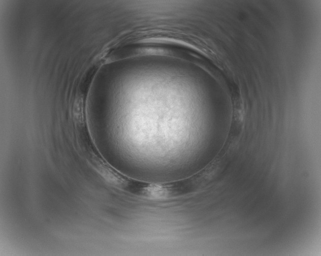 X0000079280425200611251626