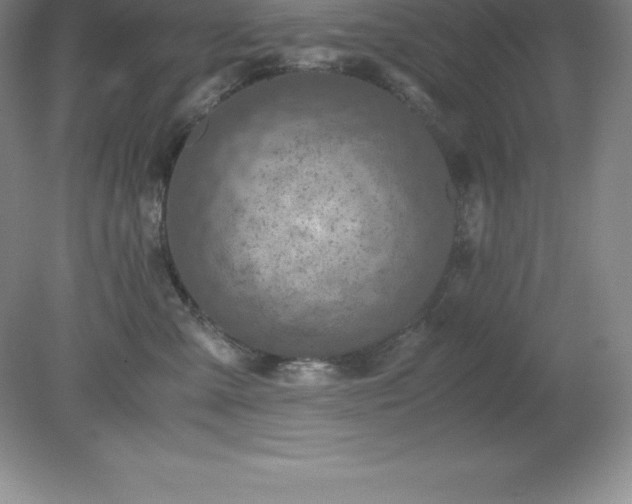 X0000079280427200611251626