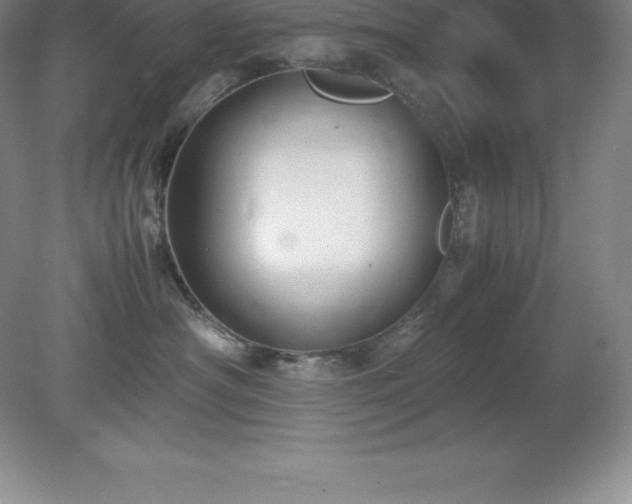 X0000079280430200611251626