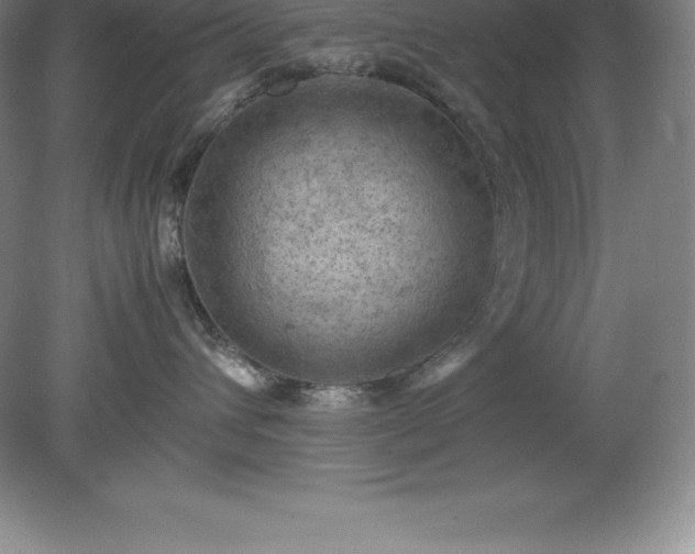 X0000079280432200611251626