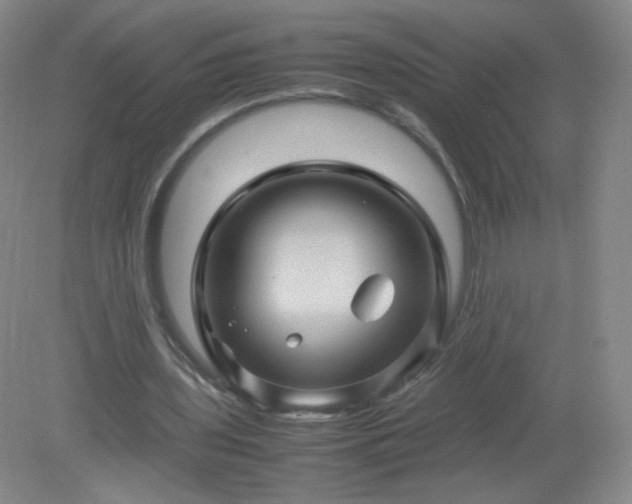 X0000079280435200611251625