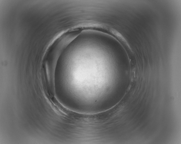 X0000079280436200611251625