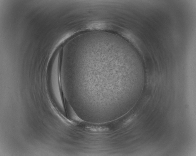 X0000079280439200611251625
