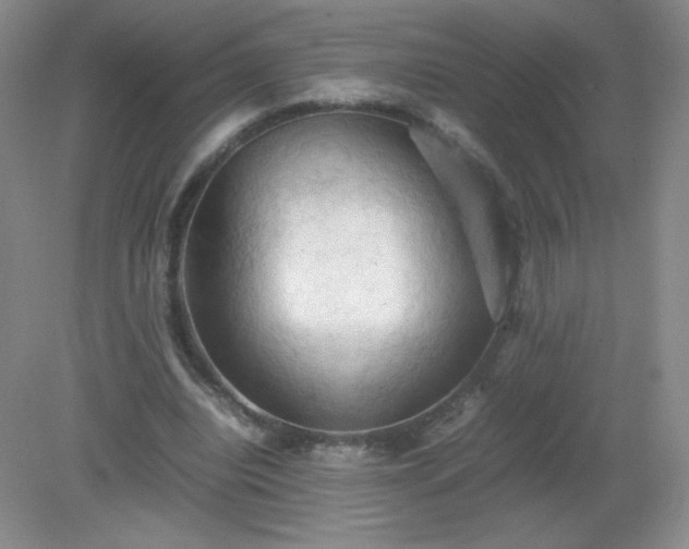 X0000079280440200611251625
