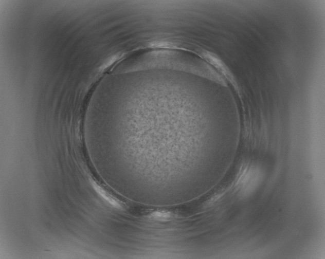 X0000079280441200611251625
