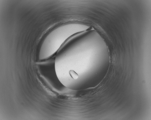 X0000079280444200611251625