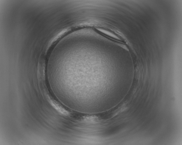 X0000079280446200611251626