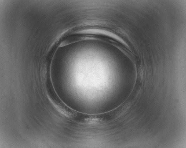 X0000079280448200611251626